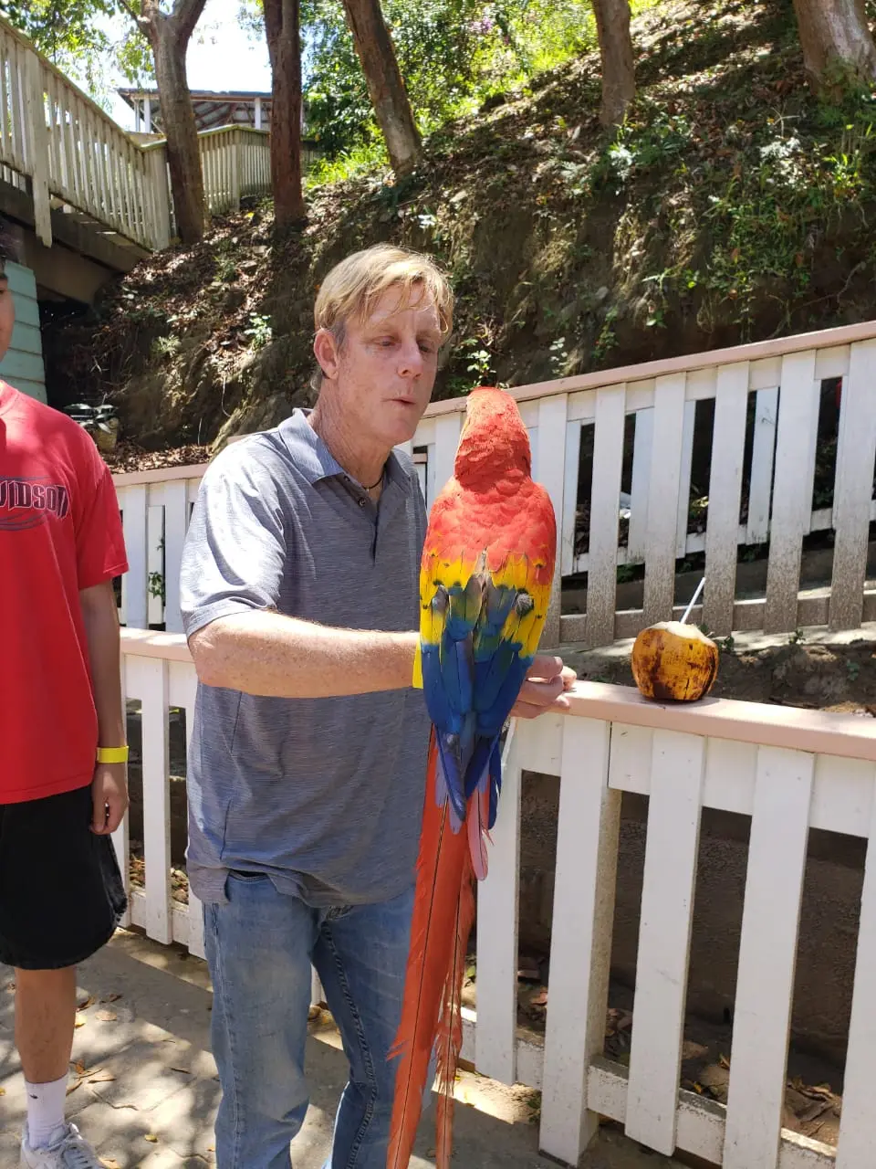 Roatan Zipline Monkeys Beach Tour – Adventure & Relax - Image 4