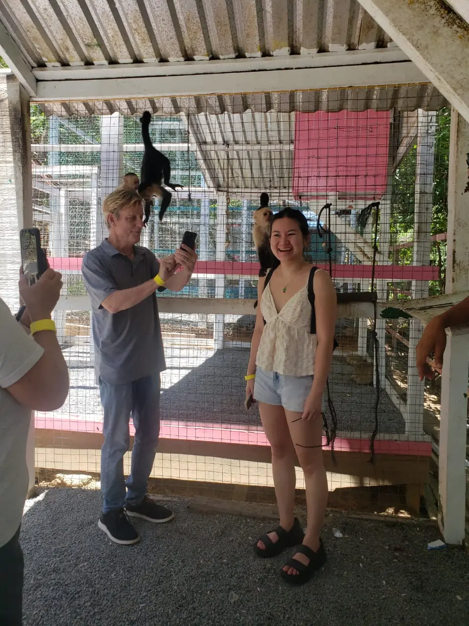 Roatan Zipline Monkeys Beach Tour – Adventure & Relax - Image 5