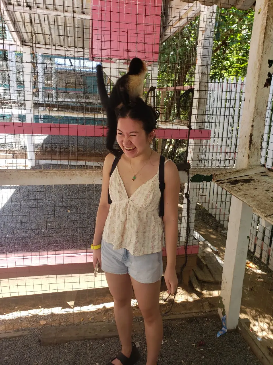 Roatan Zipline Monkeys Beach Tour – Adventure & Relax - Image 2