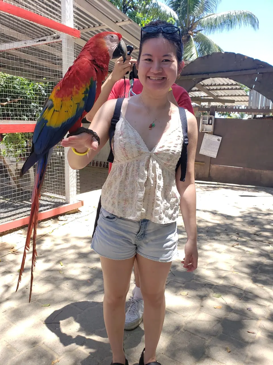 Roatan Little French Key Tour – Beach & Animal Experience - Image 6