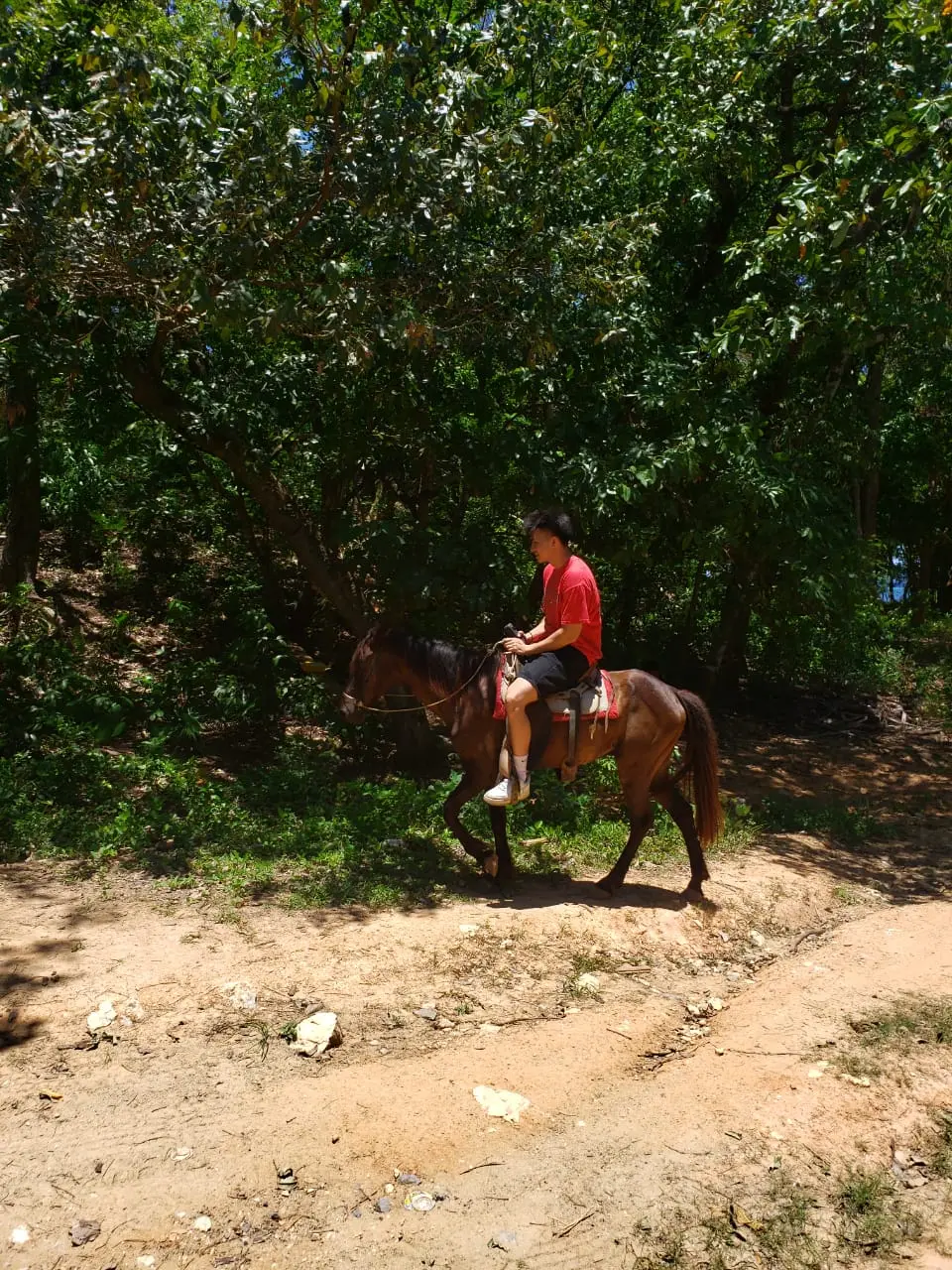 Roatan Horseback Riding Beach Tour – Sandy Bay & West Bay - Image 4
