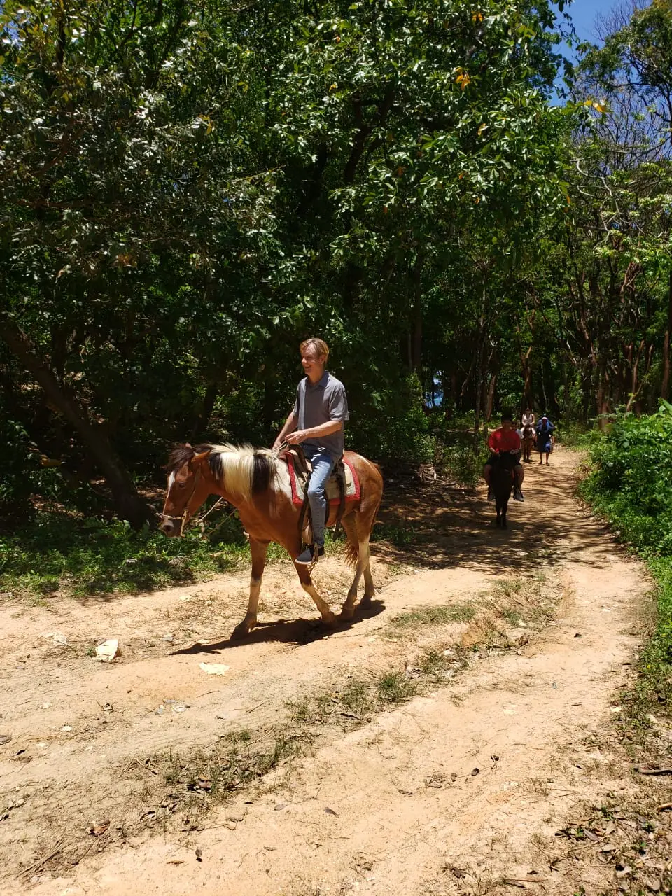 Roatan Horseback Riding Beach Tour – Sandy Bay & West Bay - Image 3