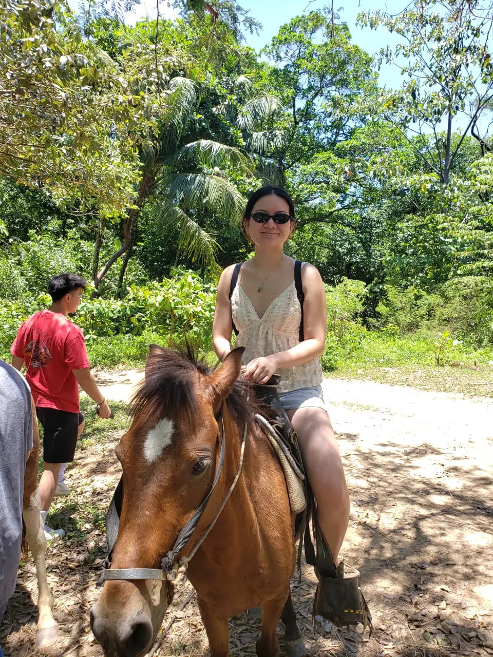 Roatan Horseback Riding Beach Tour – Sandy Bay & West Bay