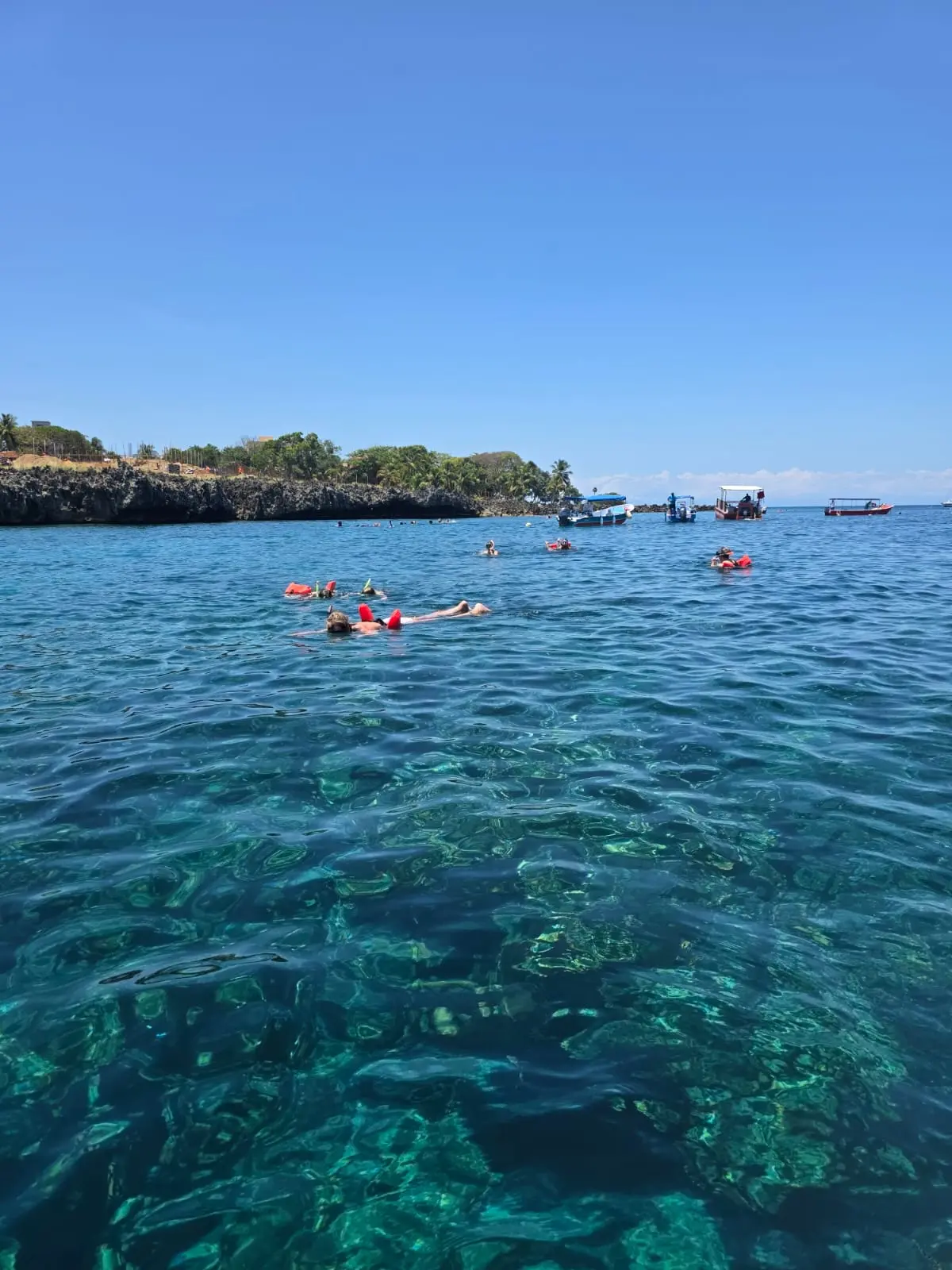 Roatan Land Sea Tour – Zipline Snorkeling Beach - Image 7