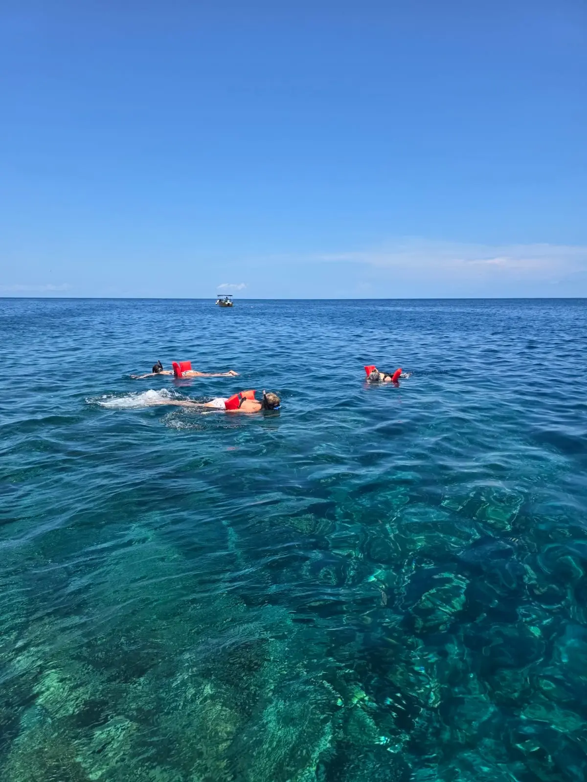 Roatan Beach Snorkeling Tour – Resort & Reef Experience - Image 4