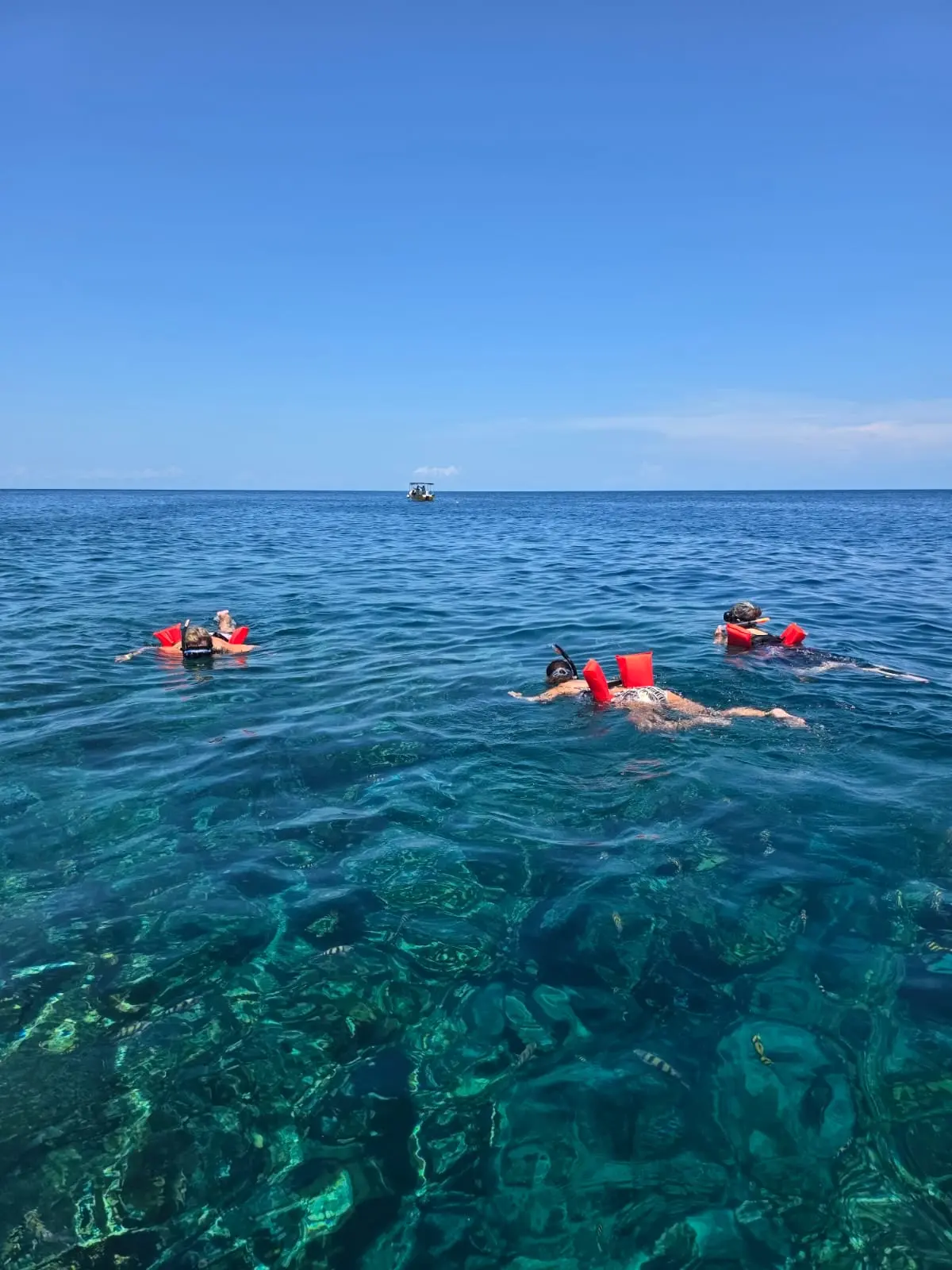 Roatan Beach Snorkeling Tour – Resort & Reef Experience - Image 3