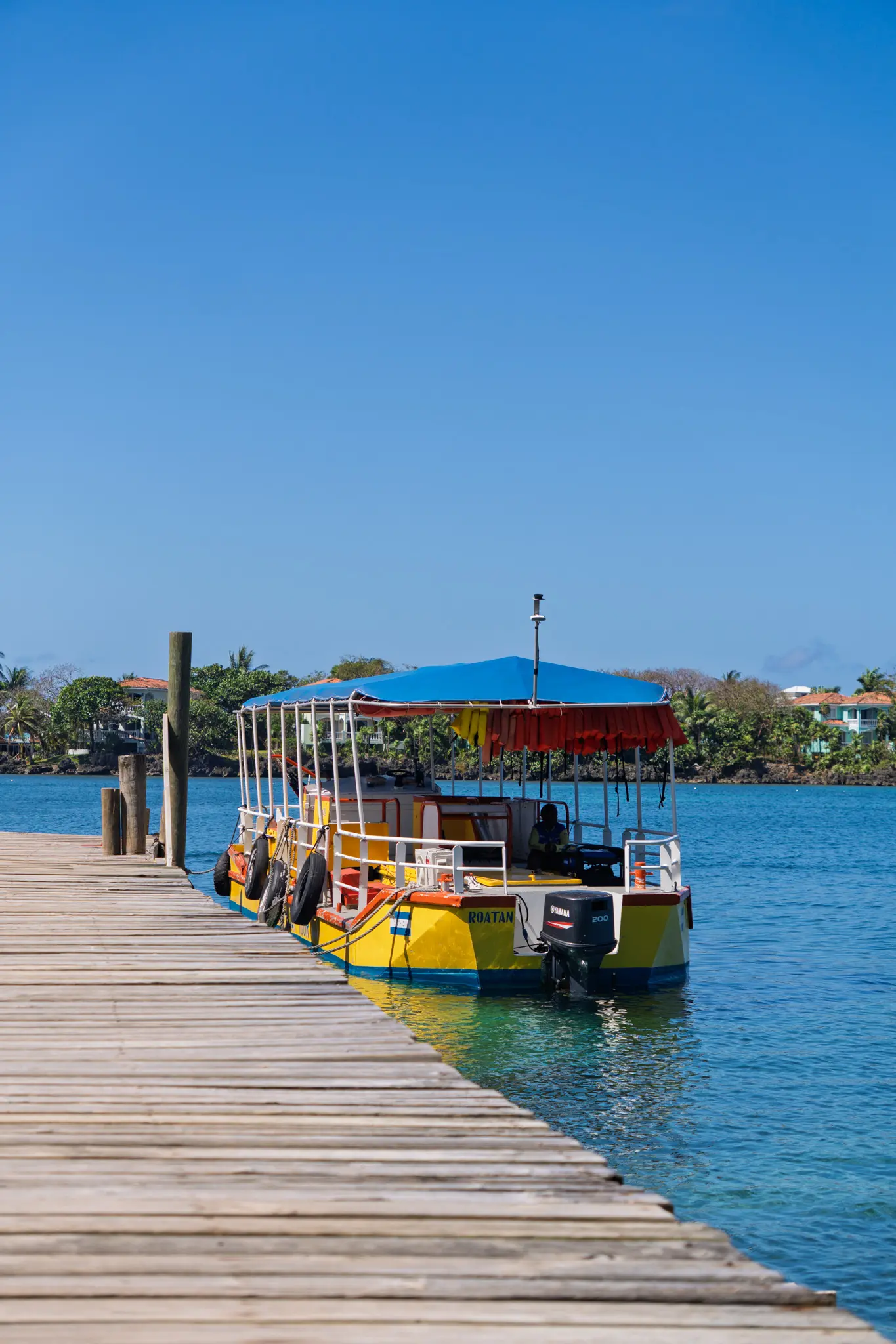 Roatan Glass Bottom Tour – Chocolate & West End Experience - Image 3