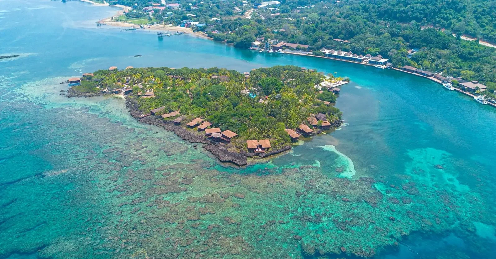 Roatan West Mangrove Beach Tour – Island & Reef Experience - Image 2
